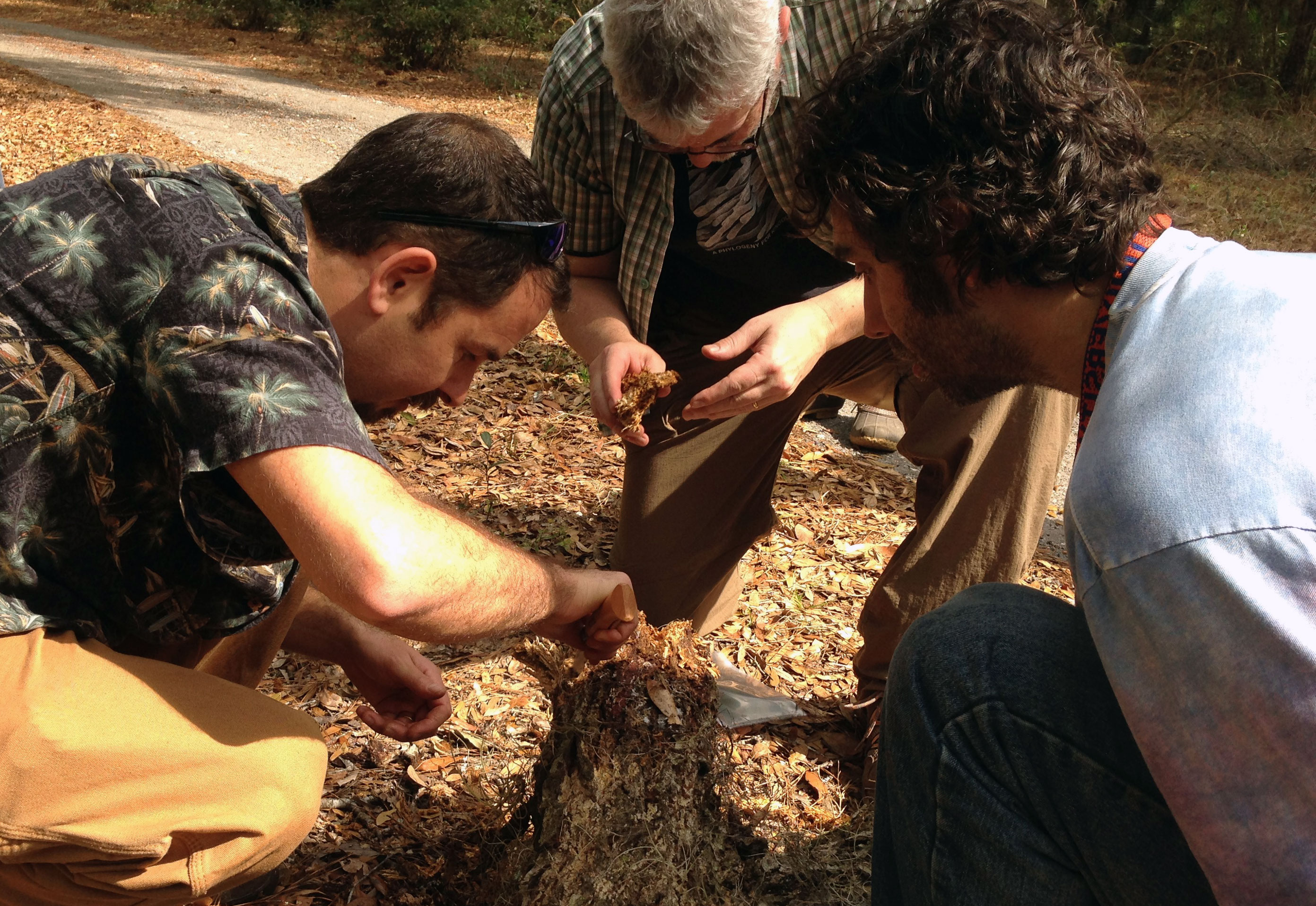 Ordway-Swisher Biological Reserve